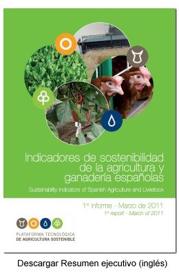 Resumen ejecutivo en ingls